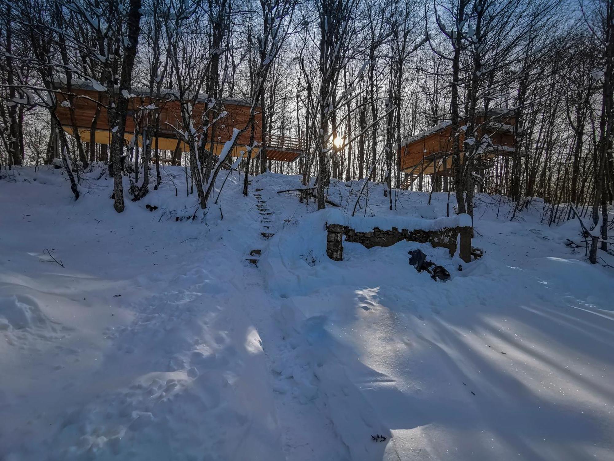 Treehouse Lika 2 Villa Medak Exterior photo